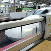 JR西日本 関西どこでもきっぷ 乗り鉄の旅－3