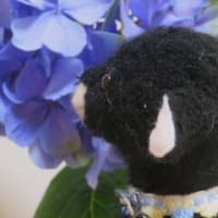 「偏食はほどほどに」