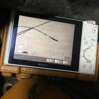 突然現れた毛束箇所で激痛