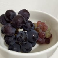 ぶどう収穫🍇藤稔🍇デラウェア😋