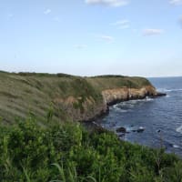 みさきまぐろきっぷでプチ旅行