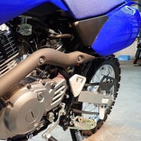 ミニモトが面白そうに感じて来た・・今日この頃。YAMAHA TT-R125 LWE 2025YM 本日入荷しました。