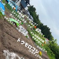 休ませてくれ～！