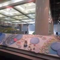 JT 生命誌研究館にて（1）