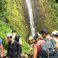 2023年ＧＷハワイ旅行記（オアフ）その26マノア渓谷の滝ハイキング