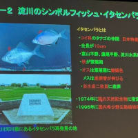 たかつき市民環境大学