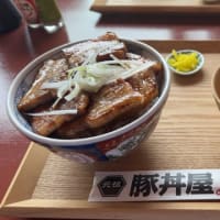 「元祖豚丼屋TONTON 日ノ出町店」でランチ