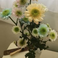 愛され笑顔の花