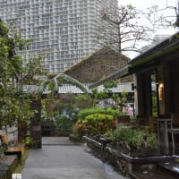 雨の台北（その2・淡水＆華山1914文創園区）