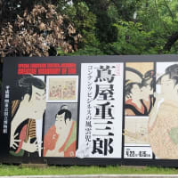 特別展「蔦屋重三郎 コンテンツビジネスの風雲児」
