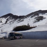 今シーズン最後の山スキー。岩木山～八甲田　(^^♪