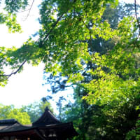 神宮と神社-奈良県天理市：石上神宮