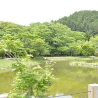 389. クラウドファンディング「ヘルゴット教会にご支援を！」最終日のご報告