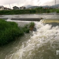 川崎観音　行き帰　2025. 5.17