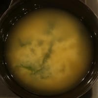 5月の松のやはワンコイン！