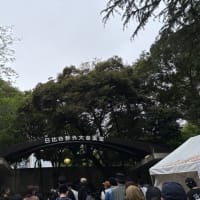 人生最後の野音？