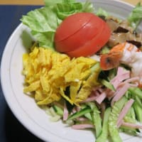 冷やし中華どんぶり・・・庶民の味。