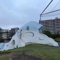台風5号🌀