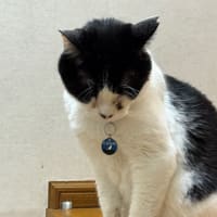 2025/6/14の朝