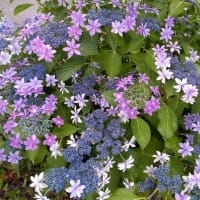 今日も謙虚で