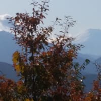 ２０１９－１１－２９　高尾山の秋を見る
