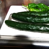 梅雨の晴れ間にジャガイモ収穫
