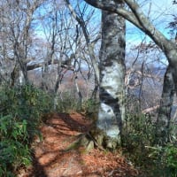 倫理と秩序