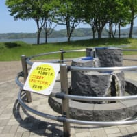 東郷湖臨海公園をお散歩