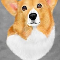 チャッピー