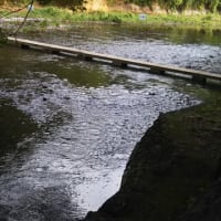 梅雨はあけましたか？