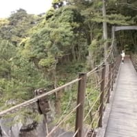 伊豆の吊り橋