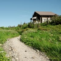 ２０２５年６月２８日　北八甲田　大岳　井戸岳のようす