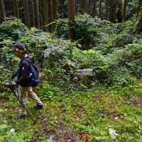 「最高に気持ちよかった...」