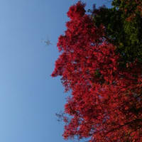 高宕山