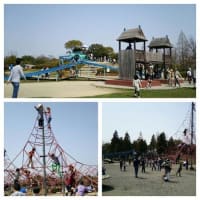 公園。