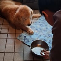 お父さんの退院祝い・おかあさんの誕生日祝い　２５．７/１２