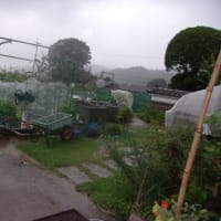 天気予報が外れ