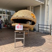 このブログも。。
