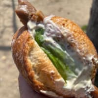 桜みながらパンランチ