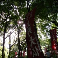 上野大仏（東京・上野公園） 091-090622