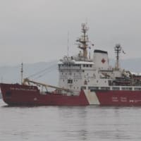カナダ沿岸警備艇・小型砕氷船   “SIR WILFRID LAURIER” 、若松ふ頭に入港．．．