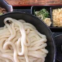 土佐手打うどん　さかえ