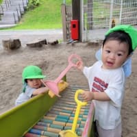 やってみたいな