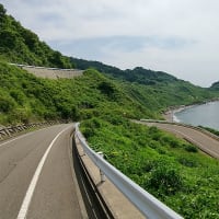 数年ぶりに米山をぐるっと一周走ってきた・・・