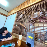 香川県で動物に癒され、瀬戸内海の幸で元気😄