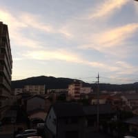 2025年7月14日（月）晴。