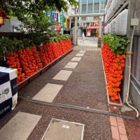 ほおずき市