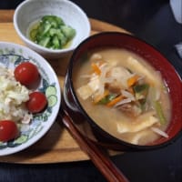 ６・３　紅鮭とトキシラズ