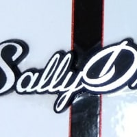 6 DEGREES FX「SALLY DRIVE ADVANCED」