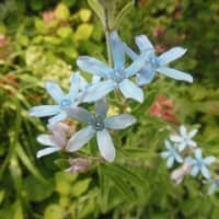 タツタ１時間されど１時間
